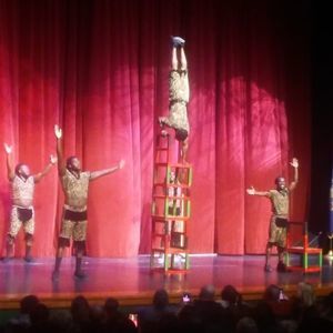 Meet your Posher, William